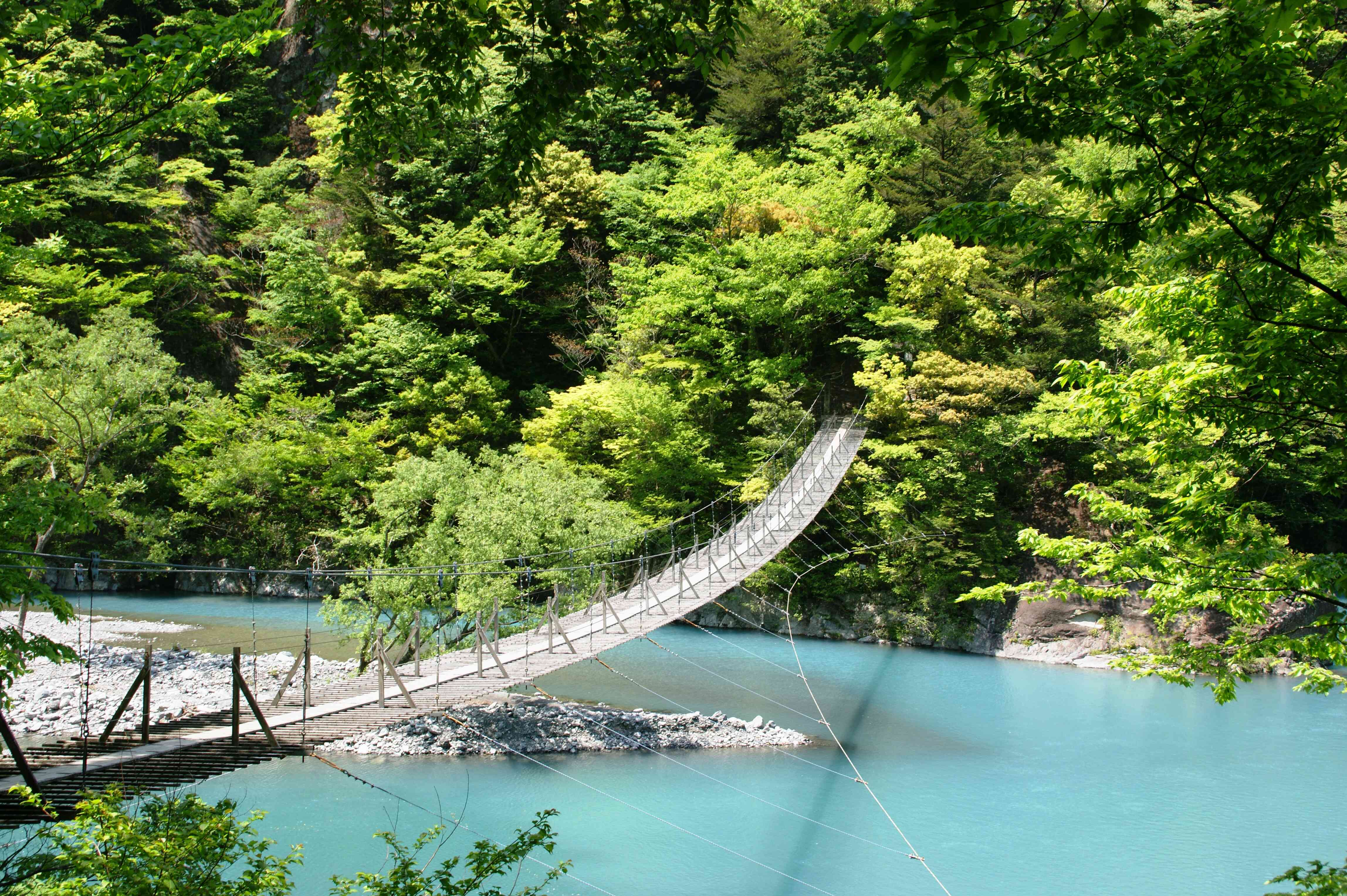 夢のつり橋（新緑）