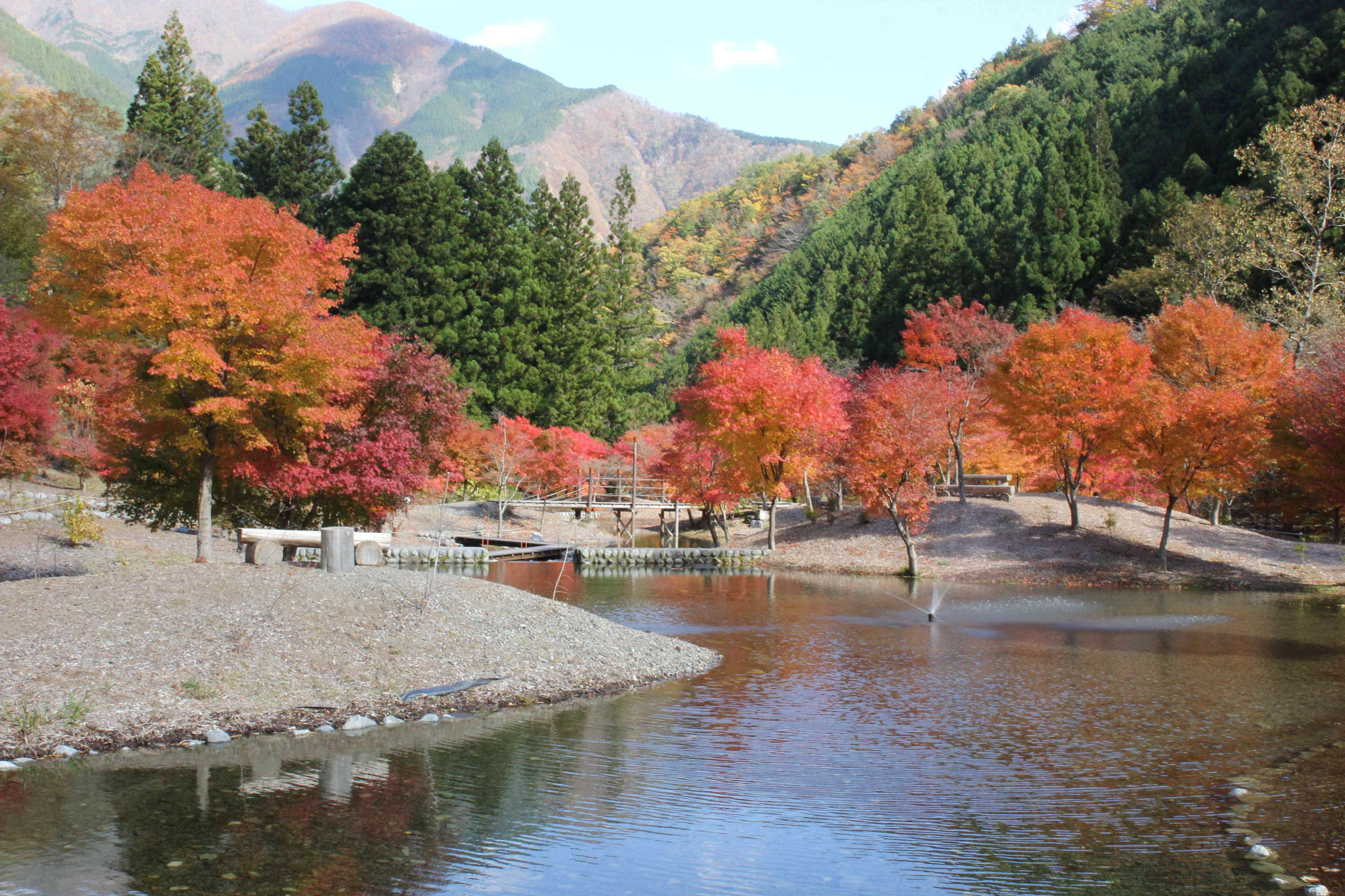 草履石公園の紅葉