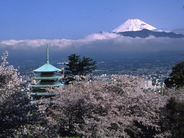 シンボルとなっている五重塔。手軽なハイキングコースとしても親しまれている。