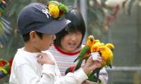 鳥達とのふれあい