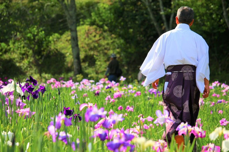 一宮花しょうぶ園は小國神社の境内地に自生していた野生の花しょうぶを、 昭和35年神社門前の神饌田に試作し品種の多様化につとめたことに始まり各地より品種を集め、 現在870坪の園内に関東系・伊勢系等、約80余種類8万本の花菖蒲があります。 5月下旬より6月中旬にわたり、白・紫・ピンク・黄・朱等色とりどりの花が次から次へ咲きます。 
また、この時期境内を流れる宮川沿いは色鮮やかな青葉もみじの緑に包まれます。初夏の心地良い風が吹く中、杉や檜の古木が立ち並ぶ遊歩道での森林浴が格別の癒やしのひとときとなります。