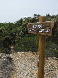 蓮華寺と大洞院を結ぶ道は古来「初午（うま）詣」の行事や蓮華寺修験僧の修行の場とされてきた。現在は「歴史の散歩道」として遊歩道に整備されている。