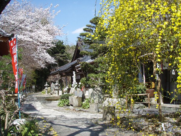 ハギのほかにも境内には多くの草花が育てられ、来訪者の目を楽しませます。