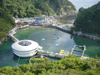 下田海中水族館