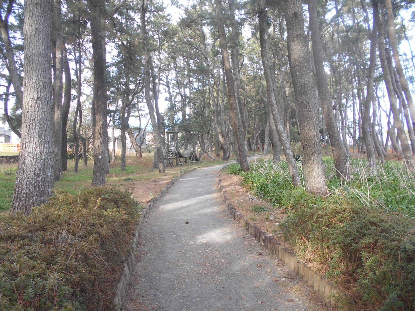 海岸遊歩道