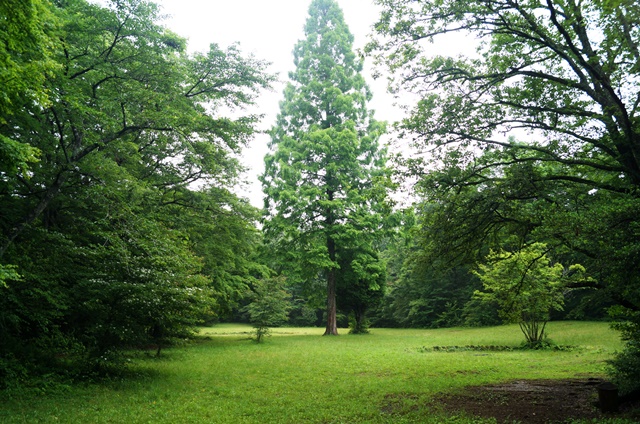 丸火自然公園①