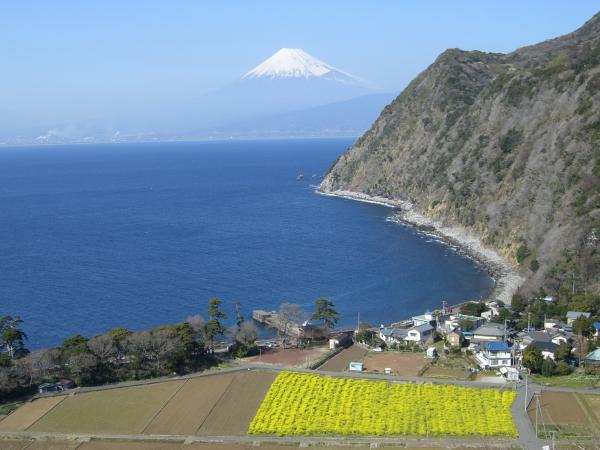 駿河湾富嶽三十六景－第十一景－煌めきの丘