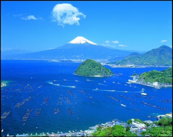 駿河湾富嶽三十六景－第十六景－沼津市内浦