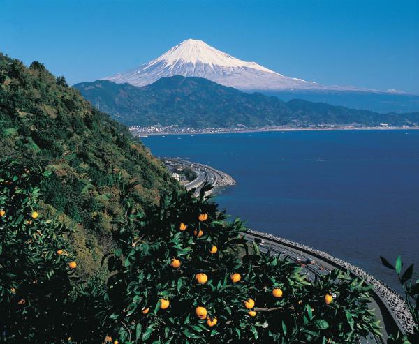 駿河湾富嶽三十六景－第二十五景－薩埵峠