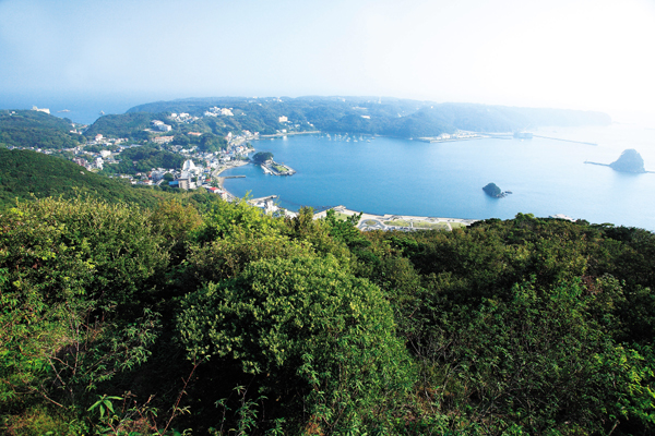 伊豆三景の一つである絶景が広がる