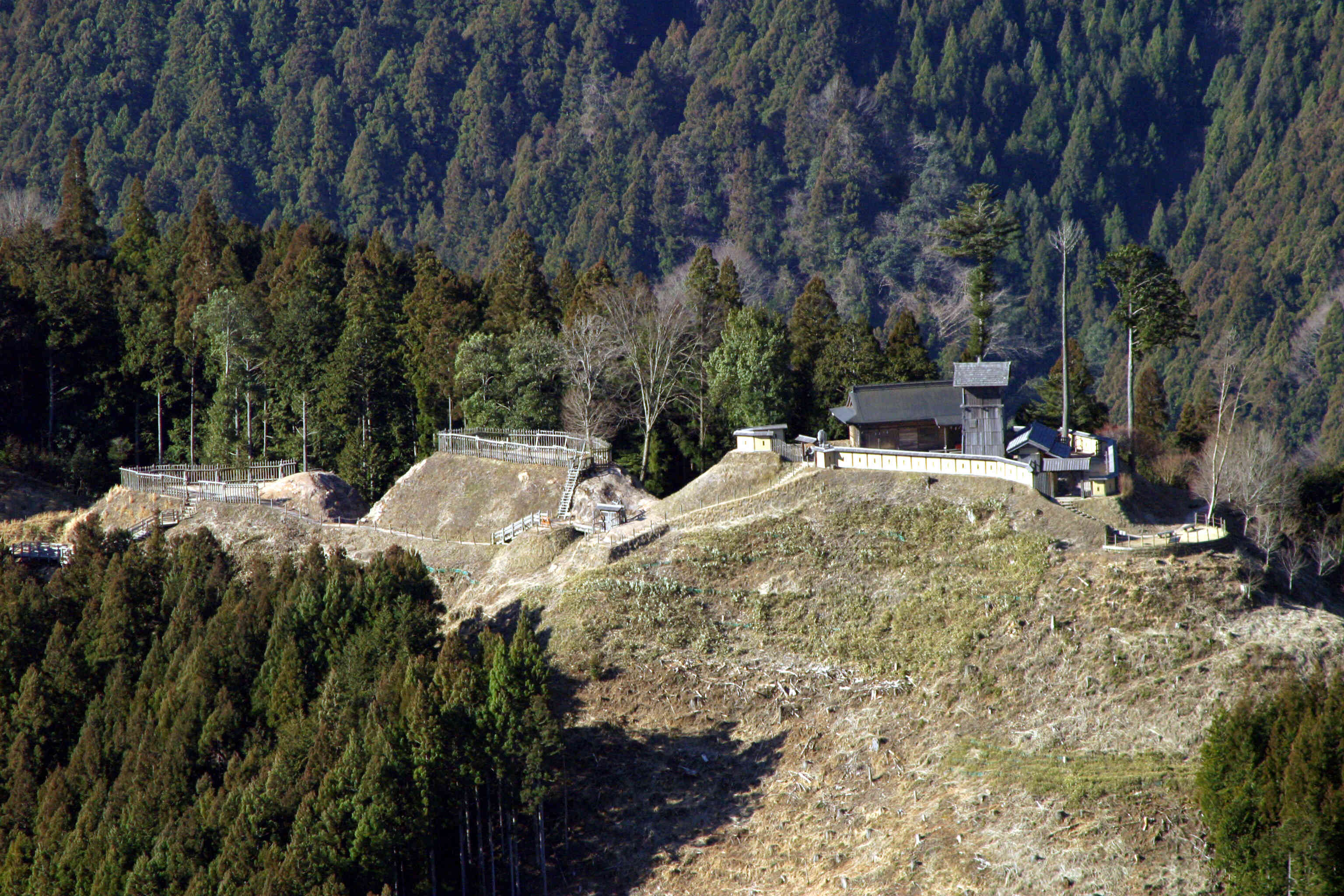 高根城址