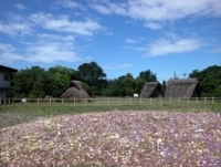 蜆塚公園