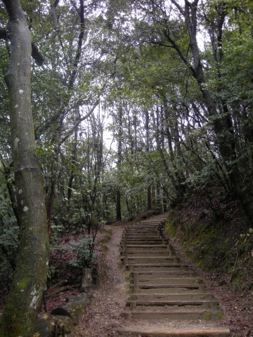 大師山自然観察の森