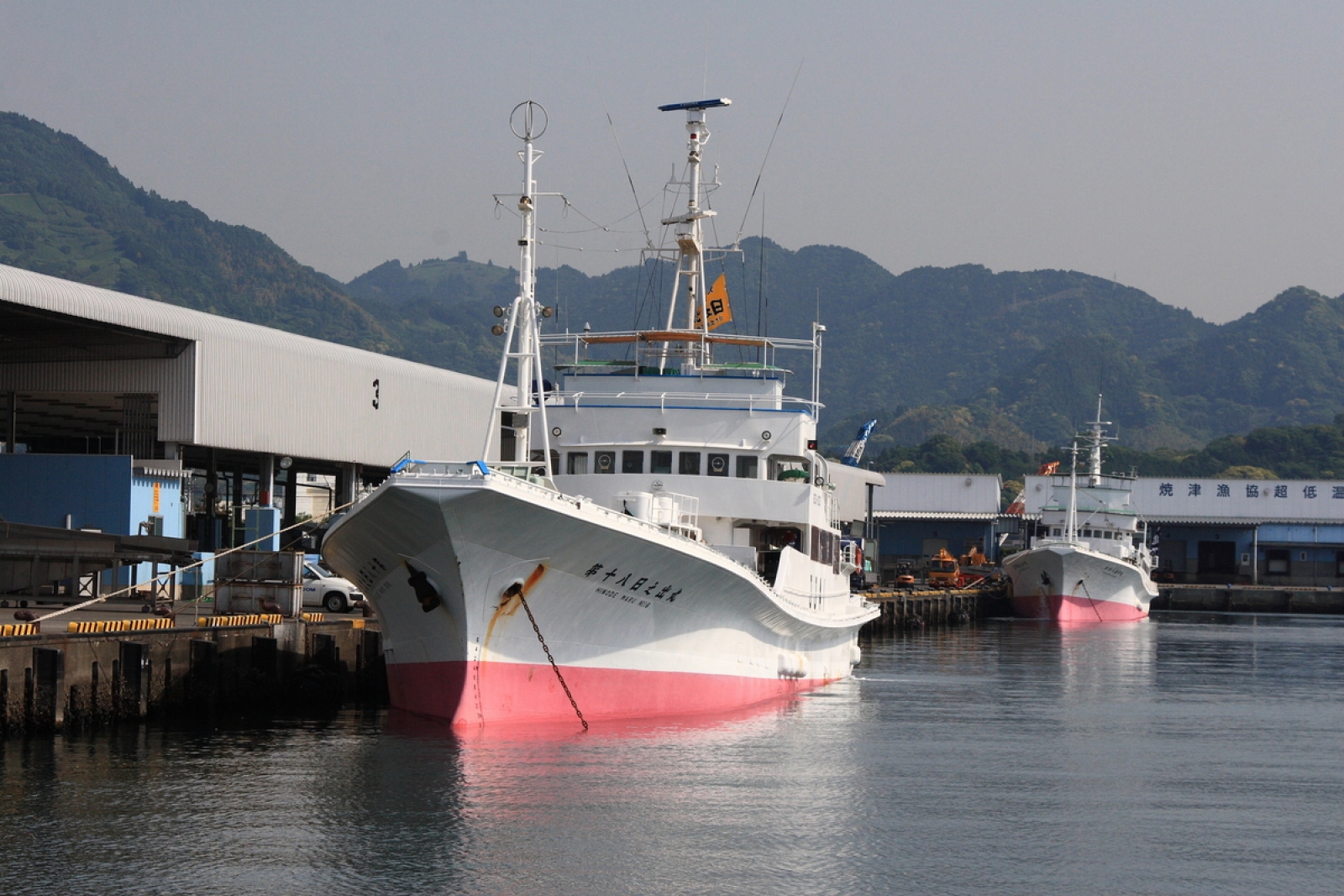 水産都市焼津港・小川港と海岸風景を楽しむ／ハローナビしずおか 静岡県観光情報