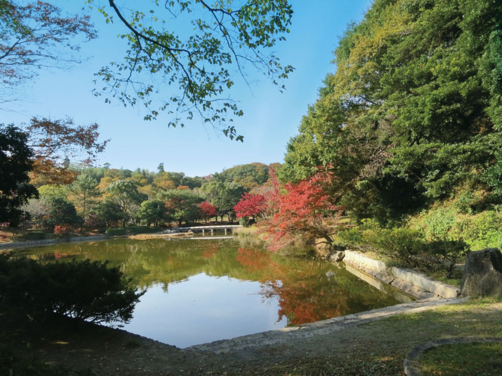 紅葉佐鳴湖