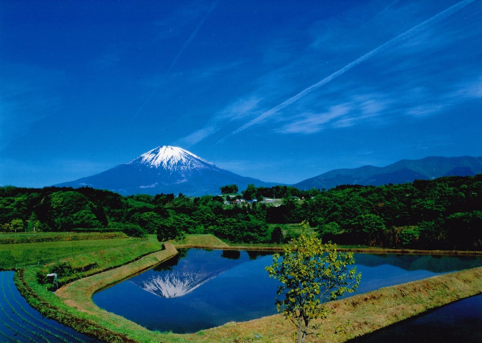 田んぼに映る富士山