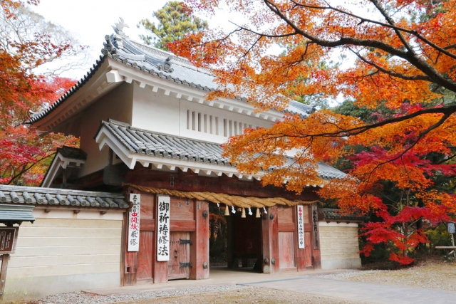 油山寺　山門