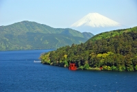 image?id=43783&mode=thumbnail