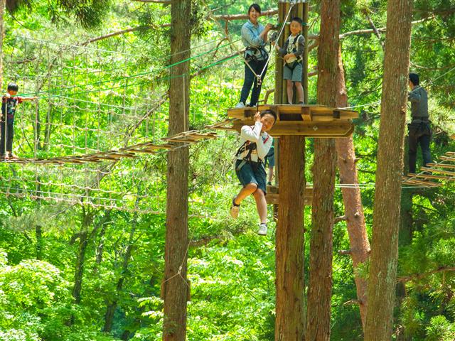 フォレストアドベンチャー 三島スカイウォーク ハローナビしずおか 静岡県観光情報