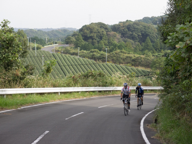 中東遠エリア コースガイド ハローナビしずおか 静岡県観光情報