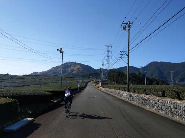 中東遠エリア コースガイド ハローナビしずおか 静岡県観光情報