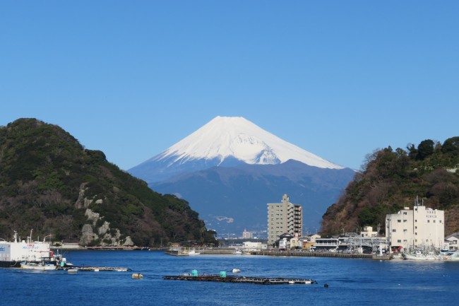 三津浜からの絶景