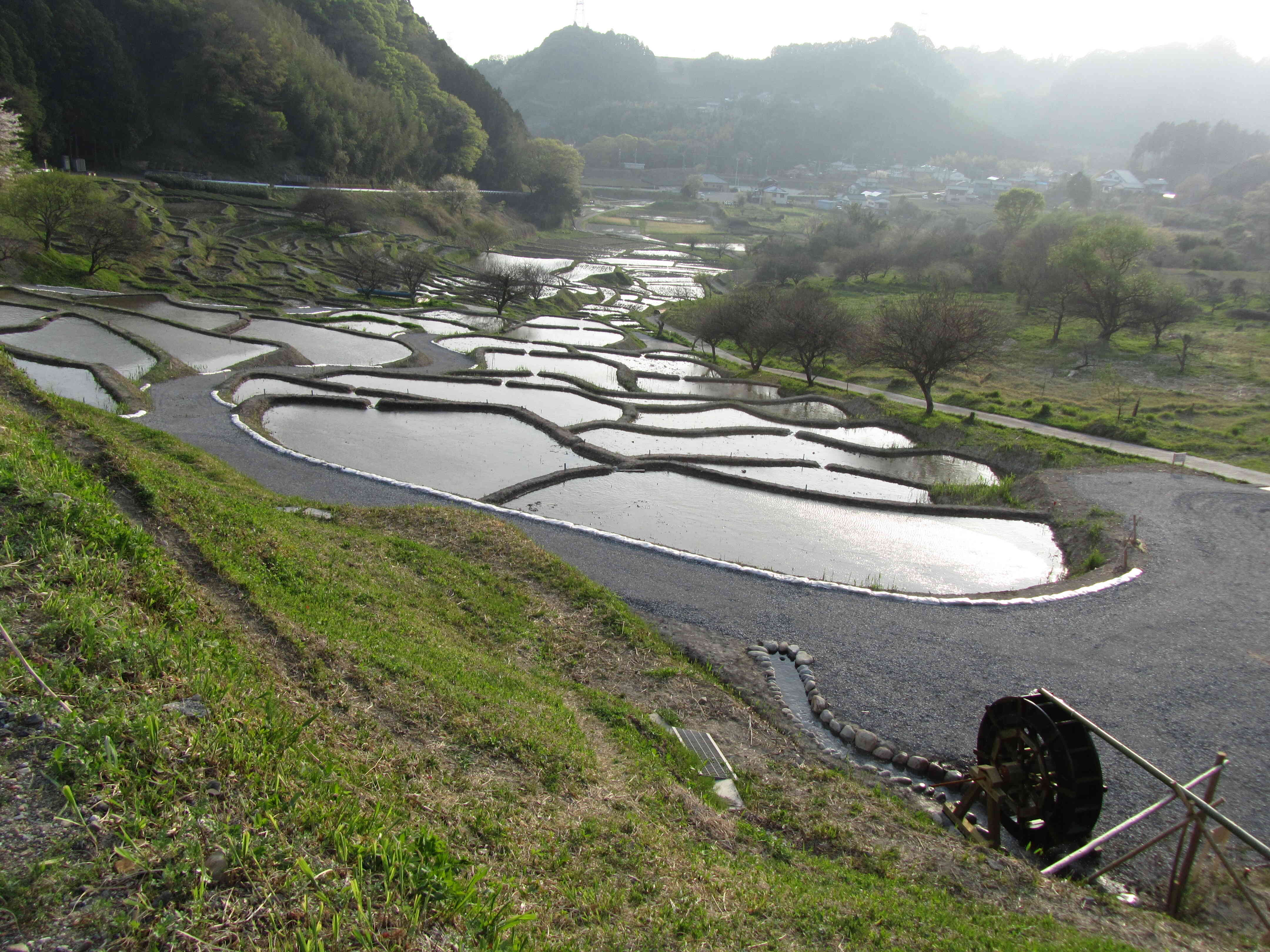 千框棚田