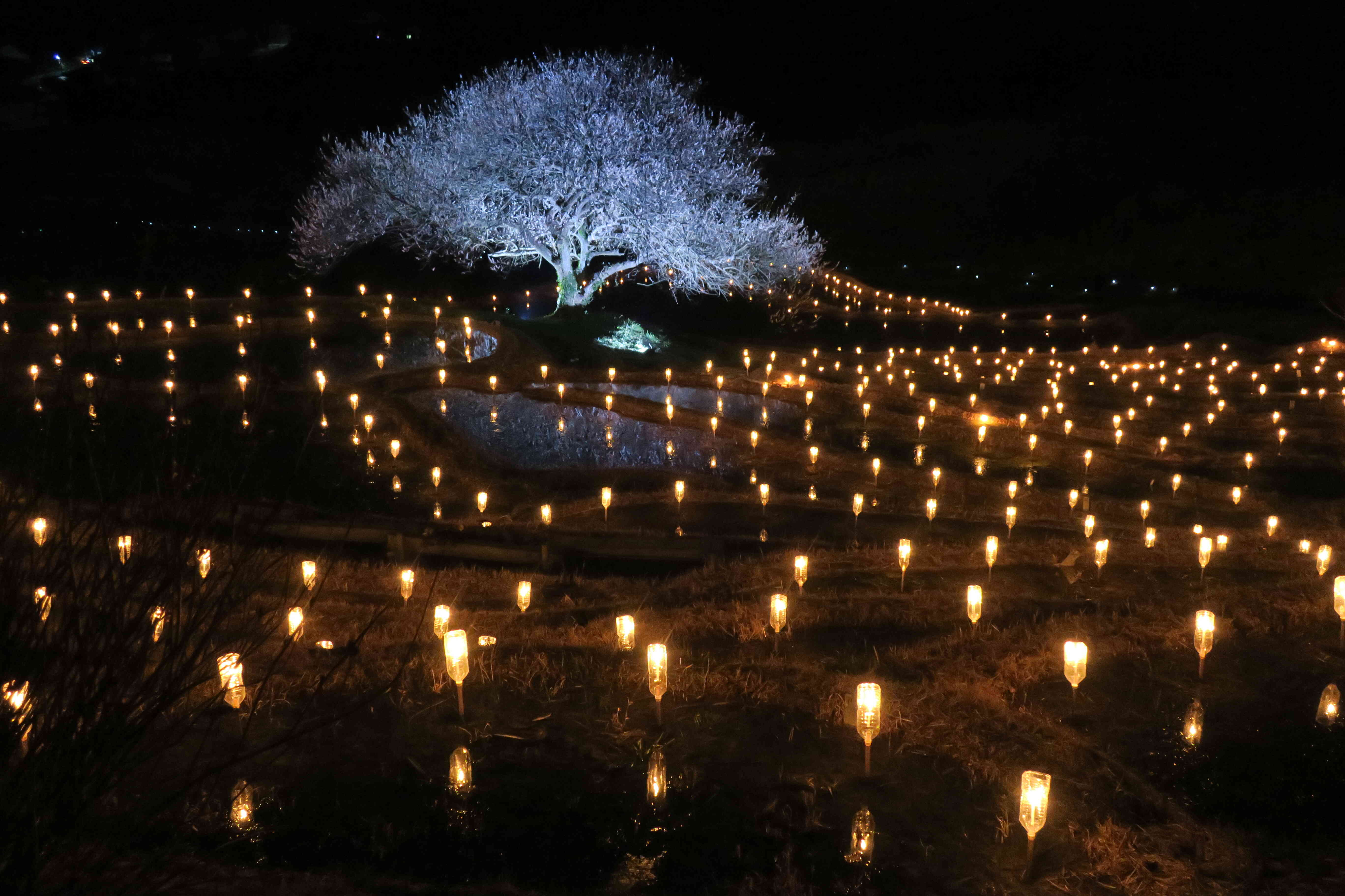一年に一日だけの「あぜ道アート」毎年3月、2000本の蝋燭とLEDが水面を照らす。