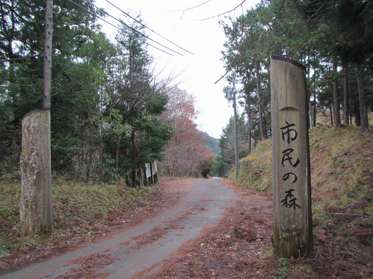 アスレチックやビオトープ広場があります