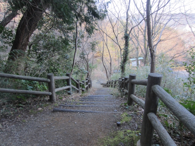 山頂までの歩道