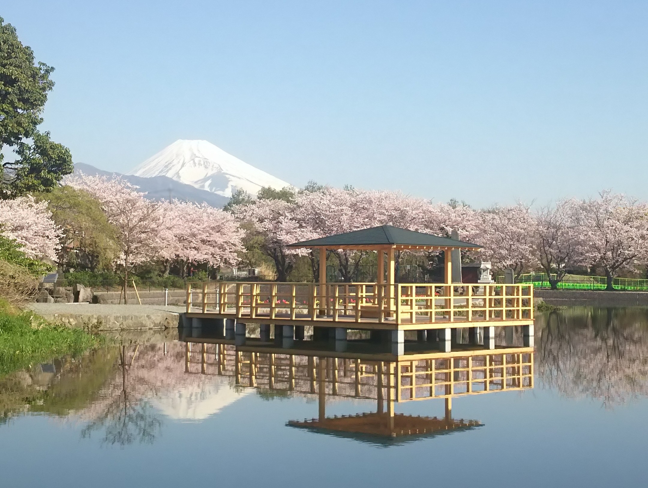 丸池より富士山を眺める。