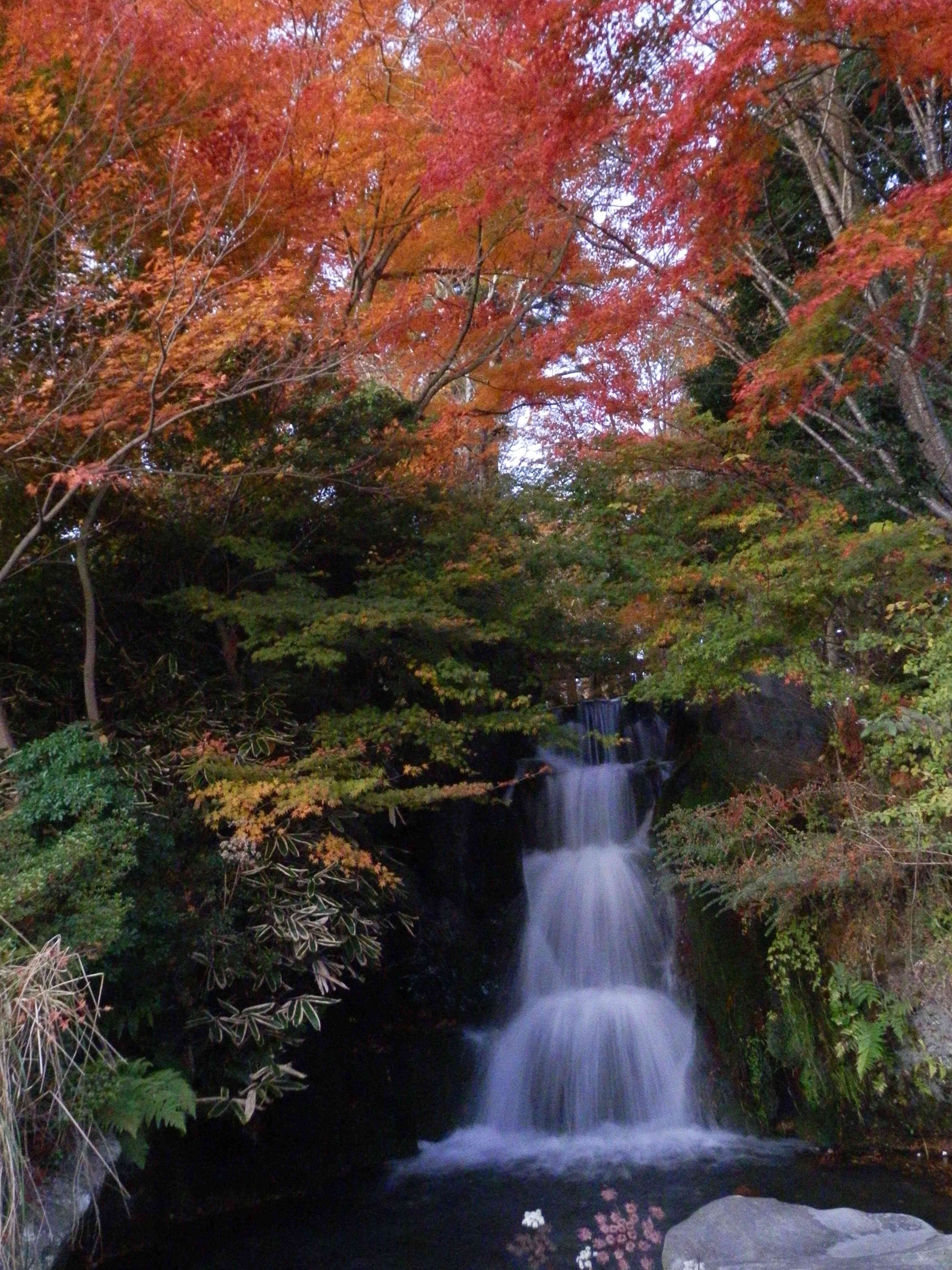 信しげの滝