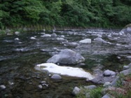 宿の前　狩野川で渓流釣りが楽しめる。


