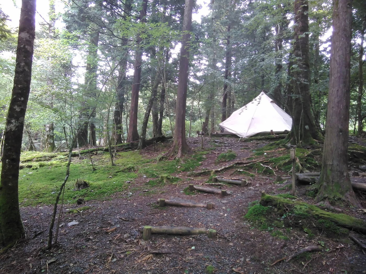 静岡県県民の森キャンプ場画像1