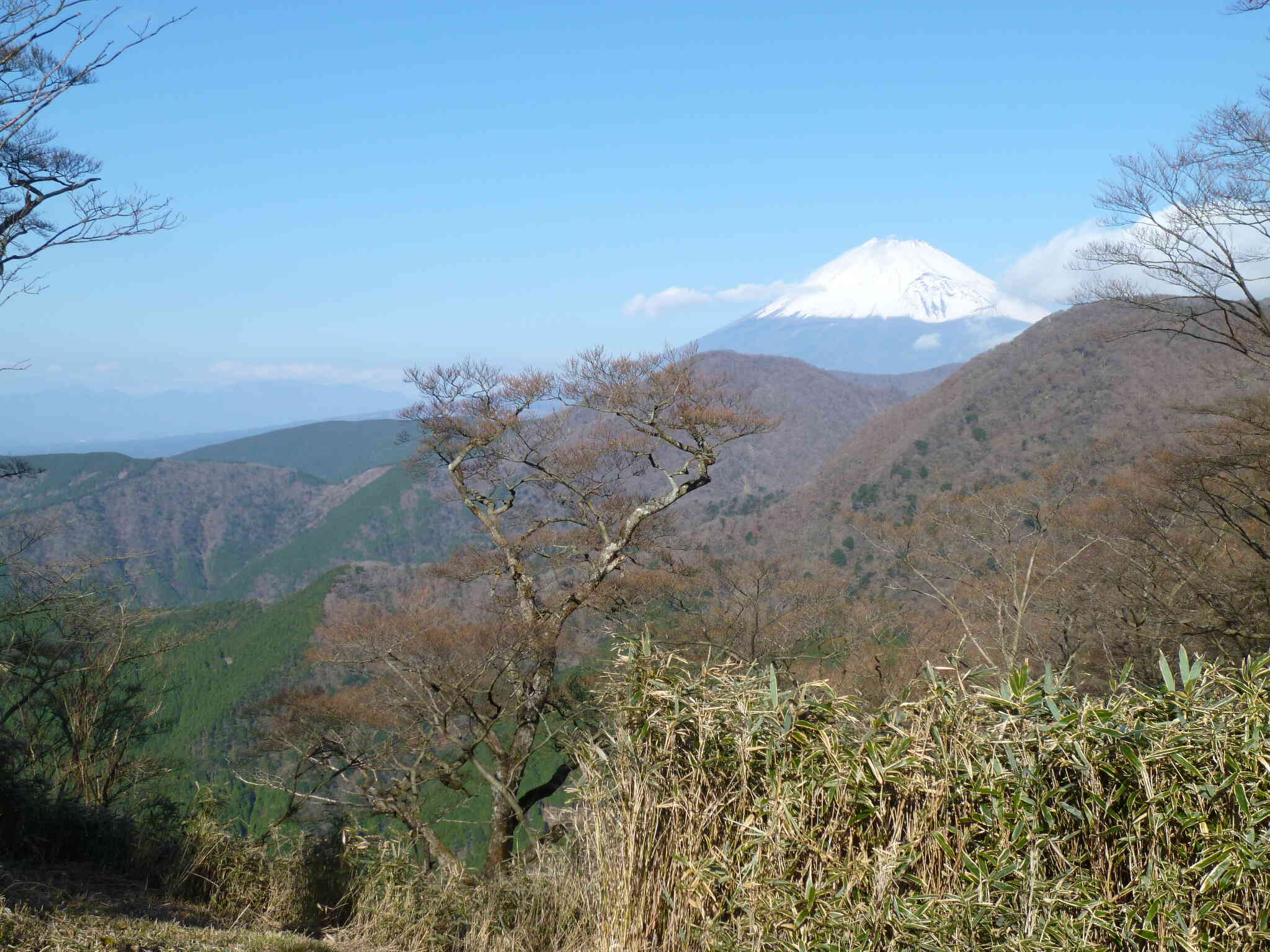 愛鷹山