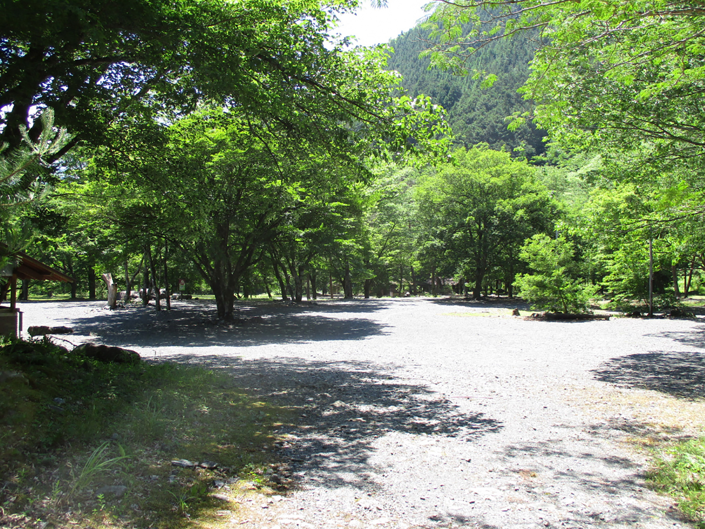 静岡市梅ヶ島キャンプ場画像2