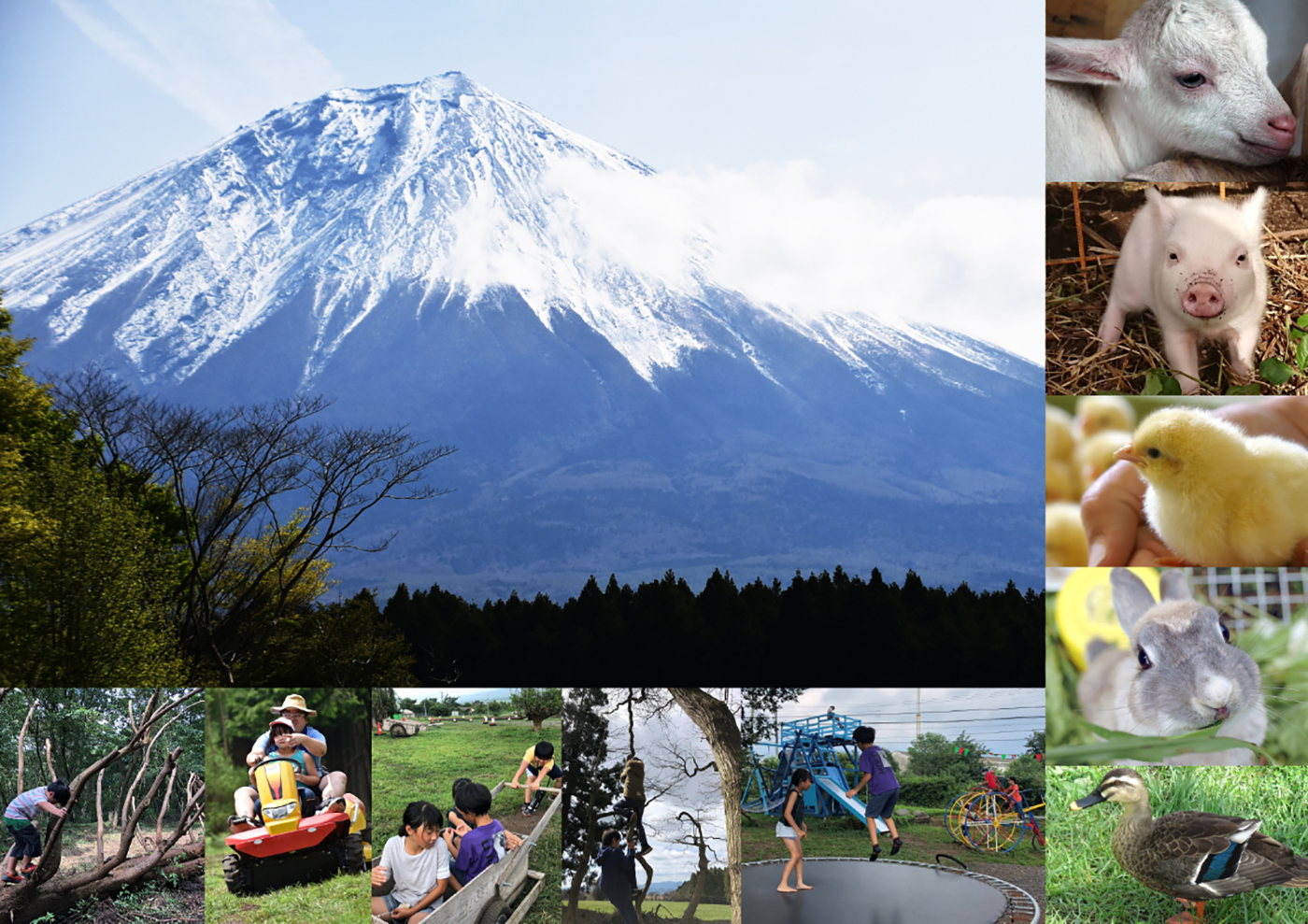 富士山ワイルドアドベンチャー画像1