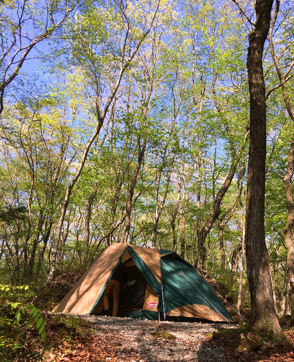 丸火自然公園グリーンキャンプ場画像3