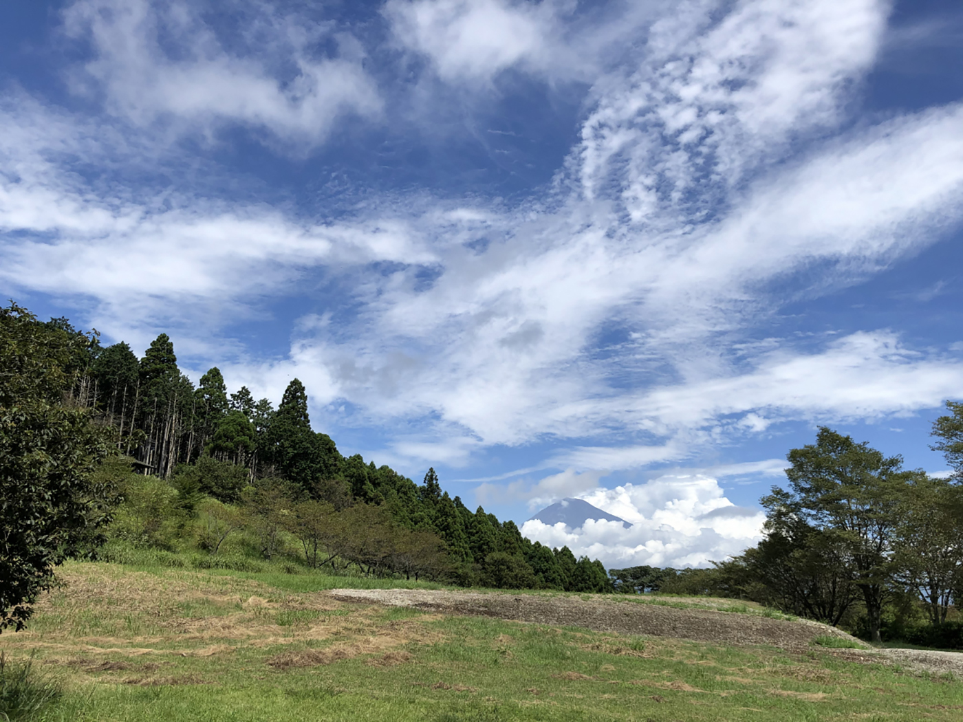 野田山健康緑地公園「富士川キャンプ場」画像1