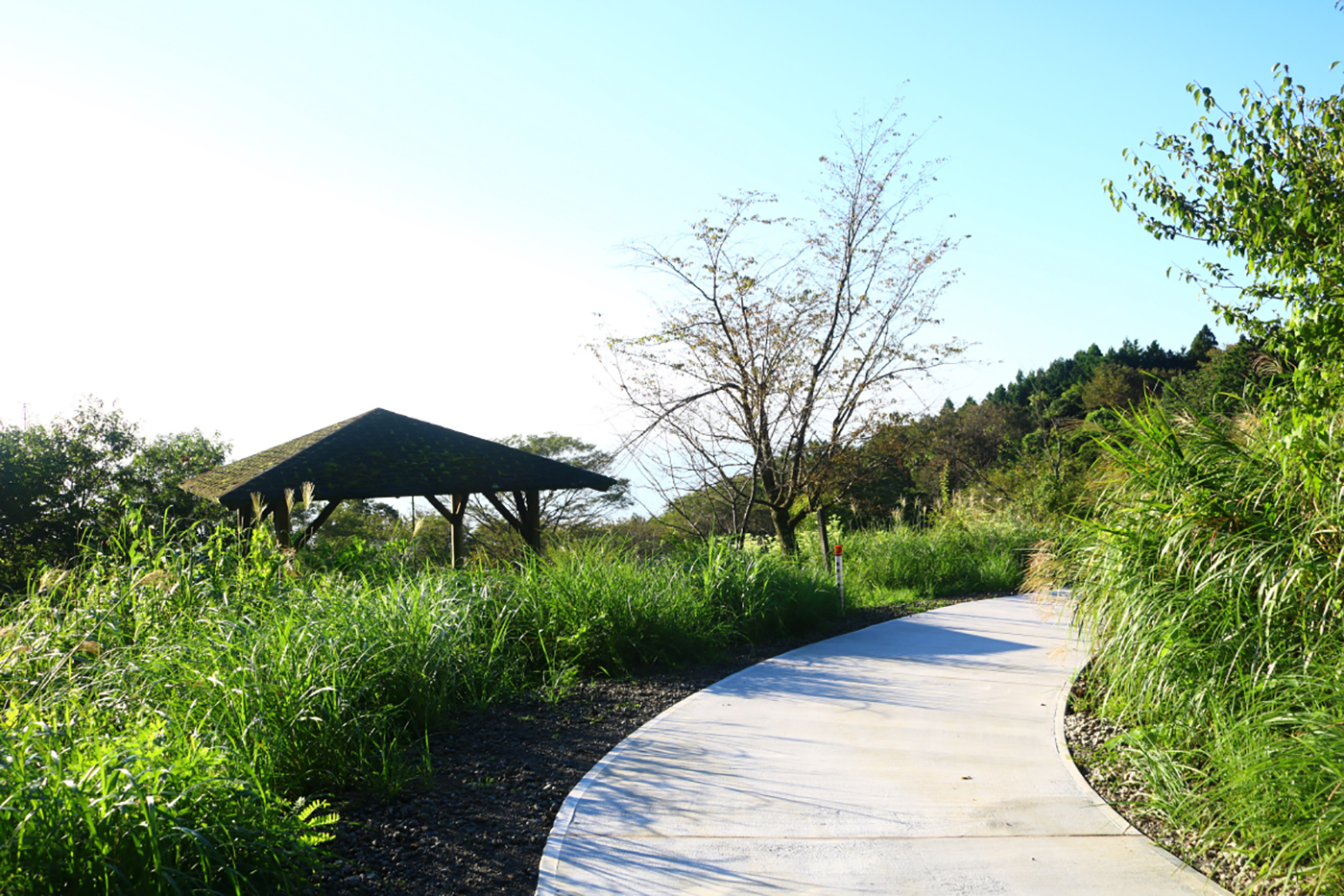 野田山健康緑地公園「富士川キャンプ場」画像2