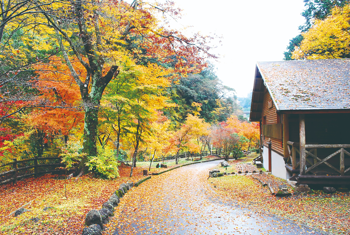 富士市須津山休養林キャンプ場画像1