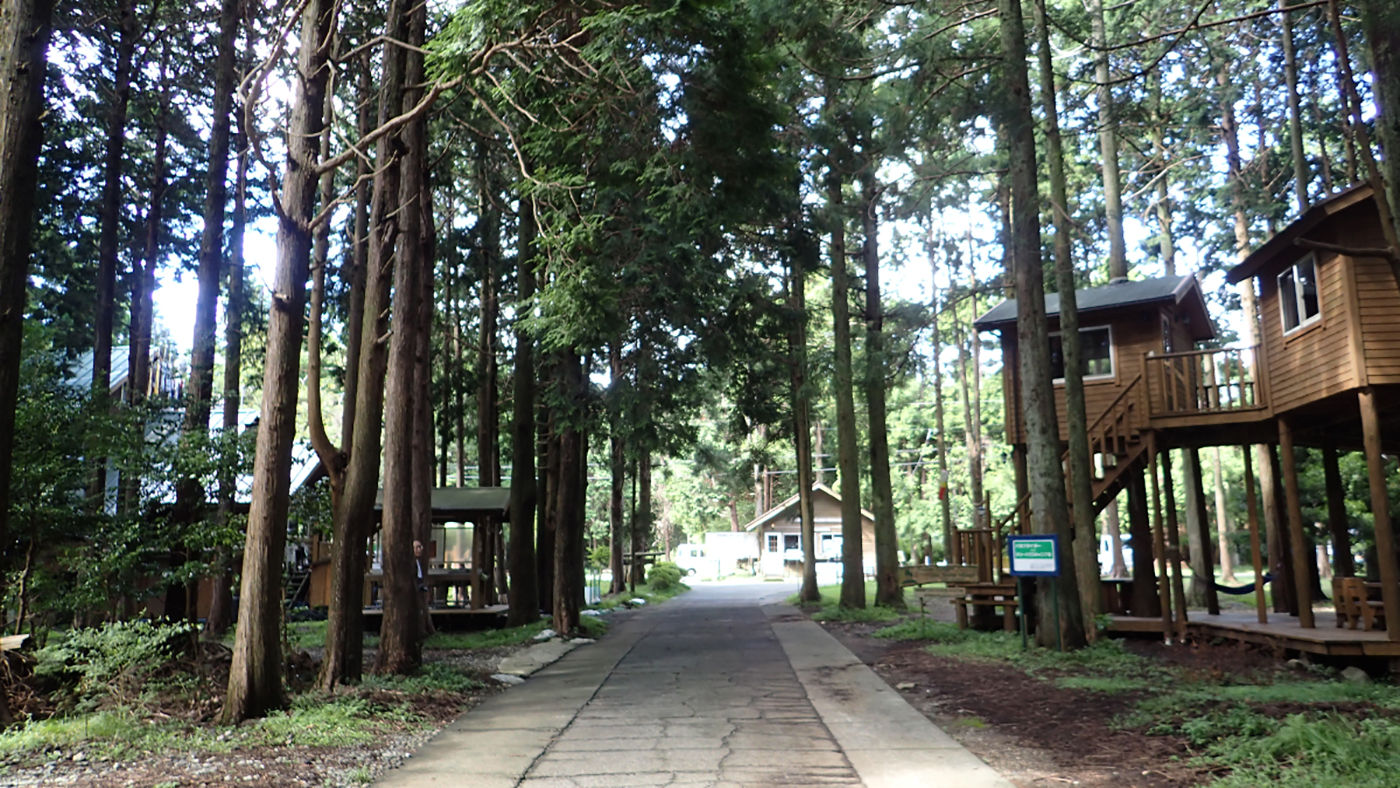 細野高原ツリーハウス村キャンプ場画像3