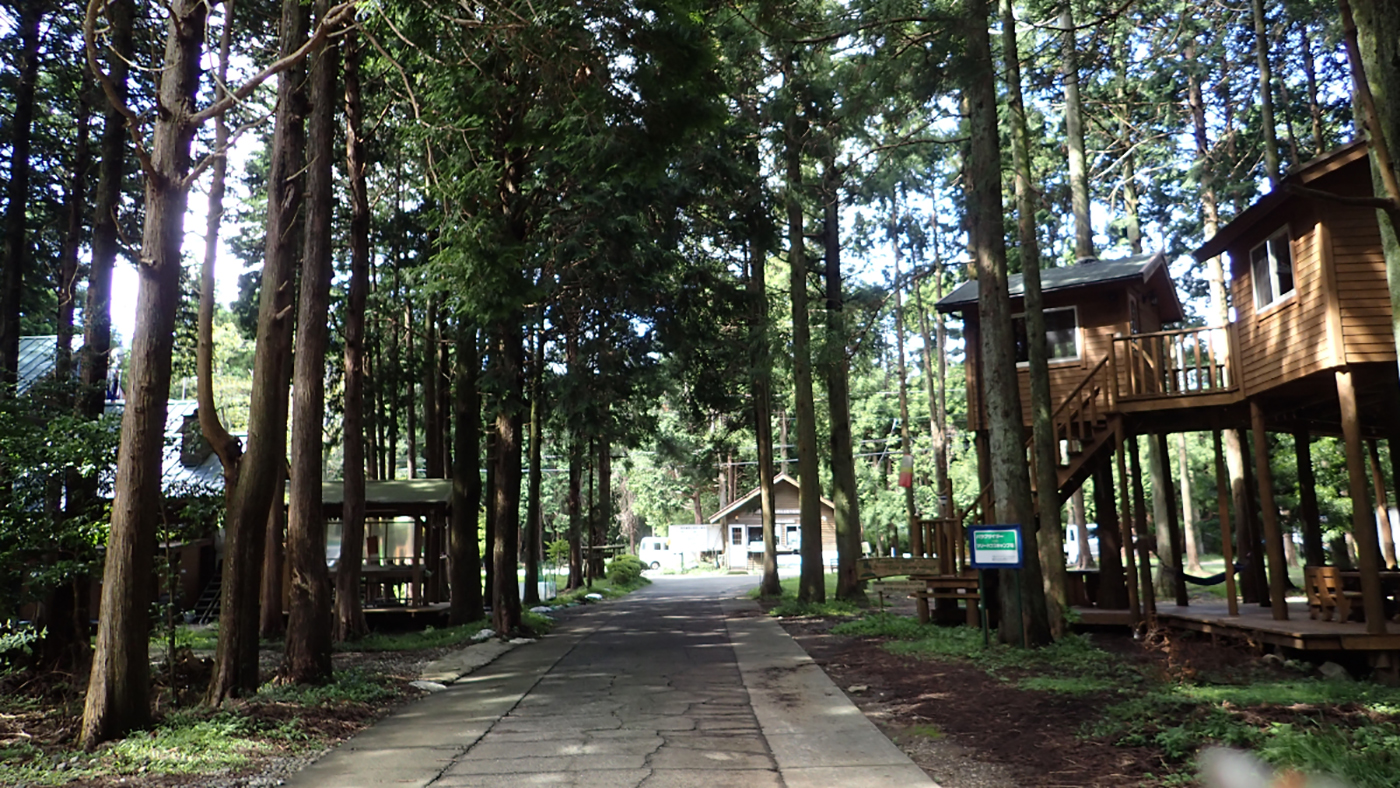 細野高原ツリーハウス村キャンプ場画像5