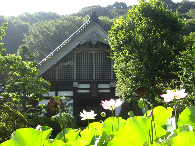 妙法華寺