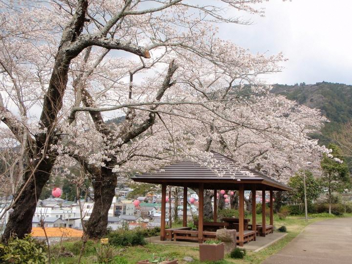 天王山公園　写真②