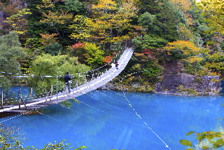 橋の真ん中で祈ると願い事が叶うといわれる夢のつり橋　