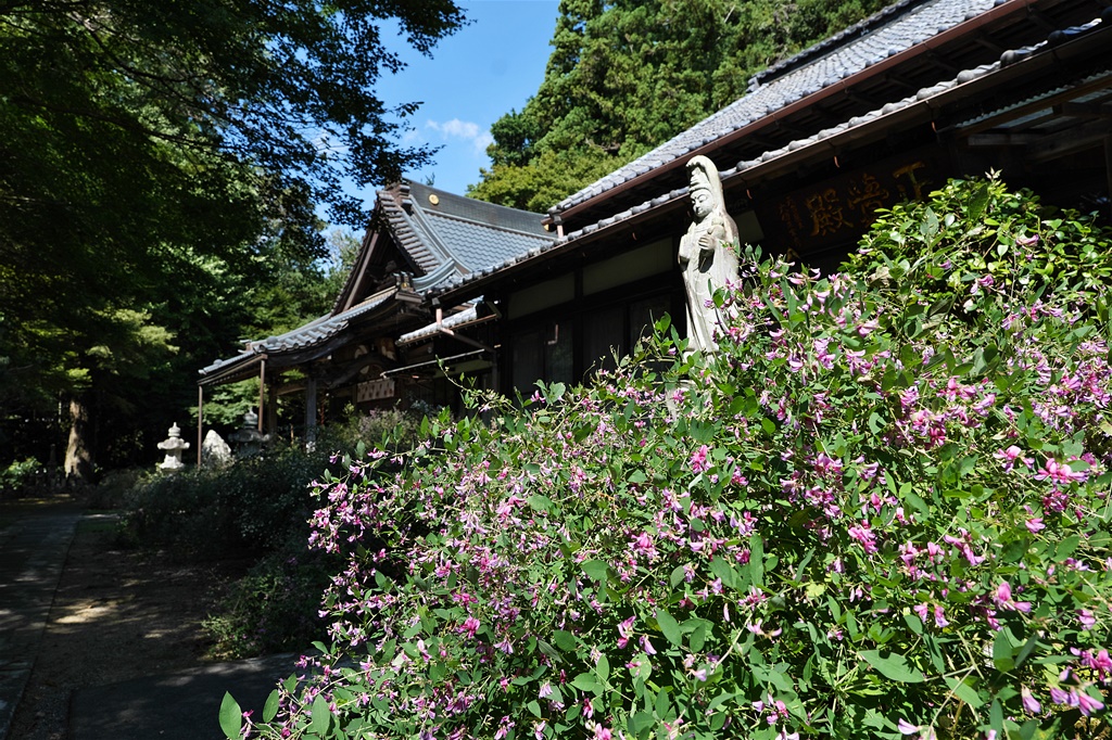 隣接する八形山蓮華寺は慶雲元年行基が開山したと伝えられ、遠江随一の学問寺です。全盛時代には、坊舎３６坊もあった程です。蓮華寺は別名ハギの寺とも呼ばれ、見ごろは８月中旬から９月中旬。山門手前には「歴史の散歩道」入口となる冠木門があります。