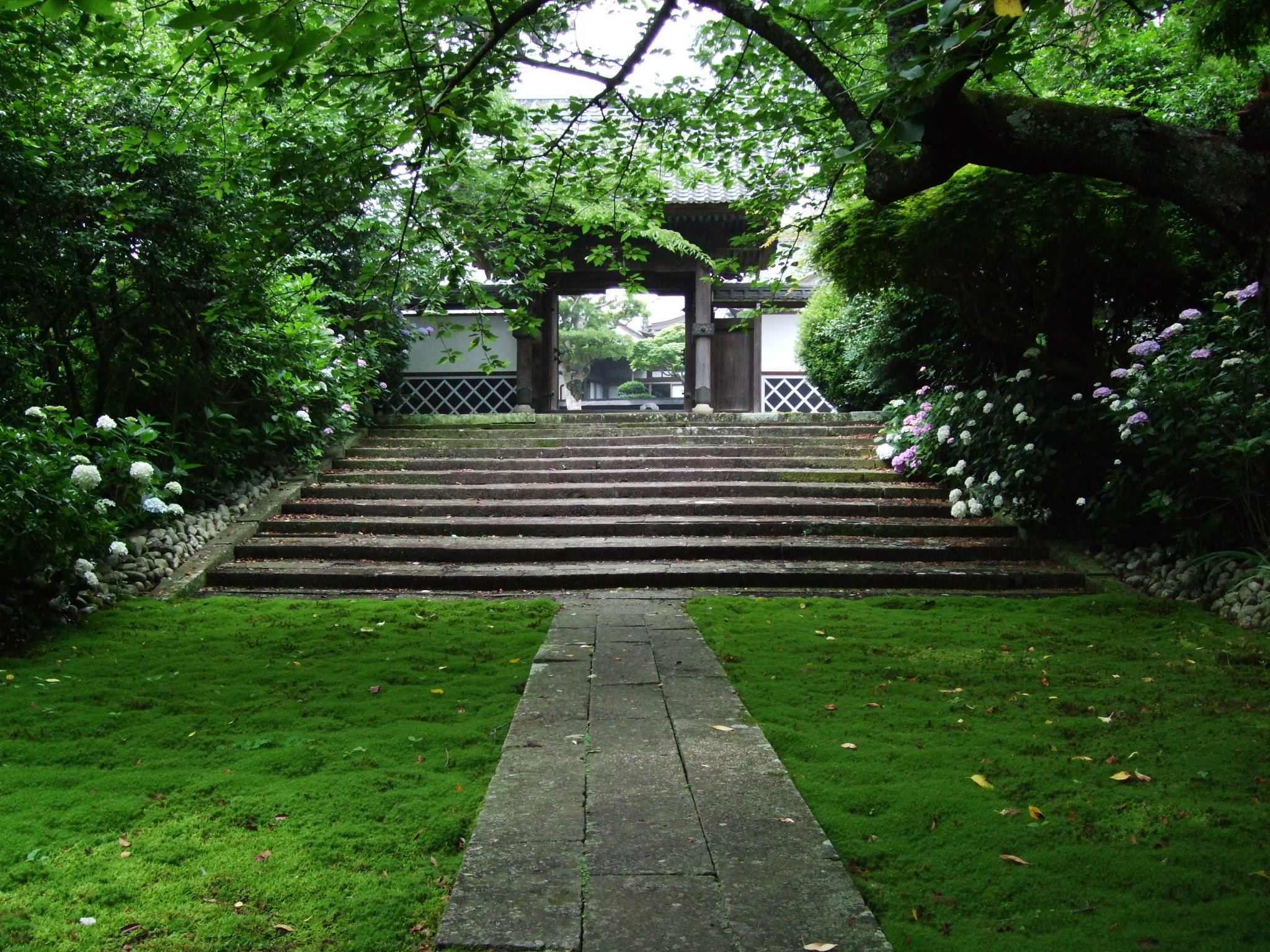 杉苔のなかに伸びる参道と山門