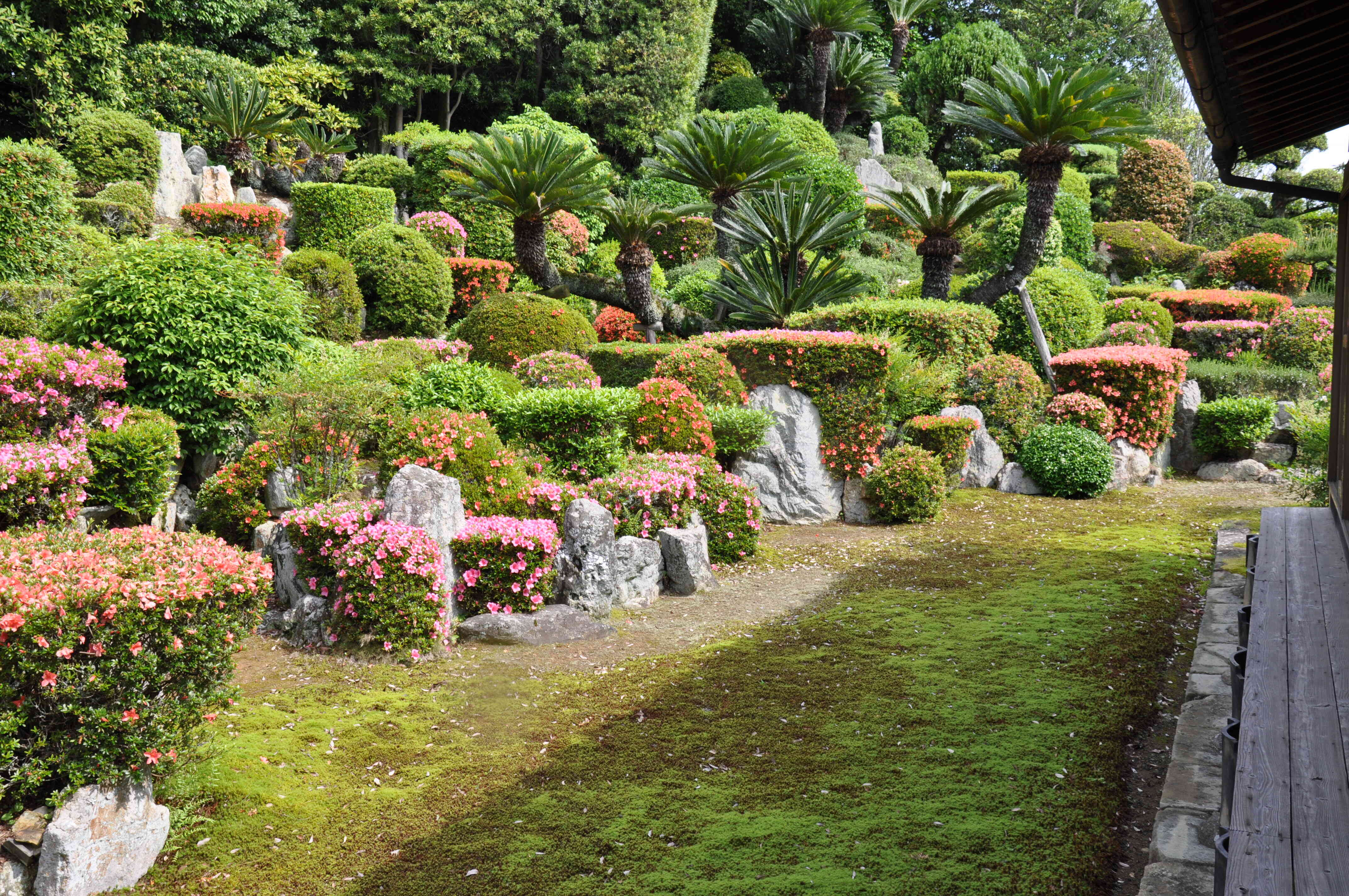 枯山水の庭園、西面