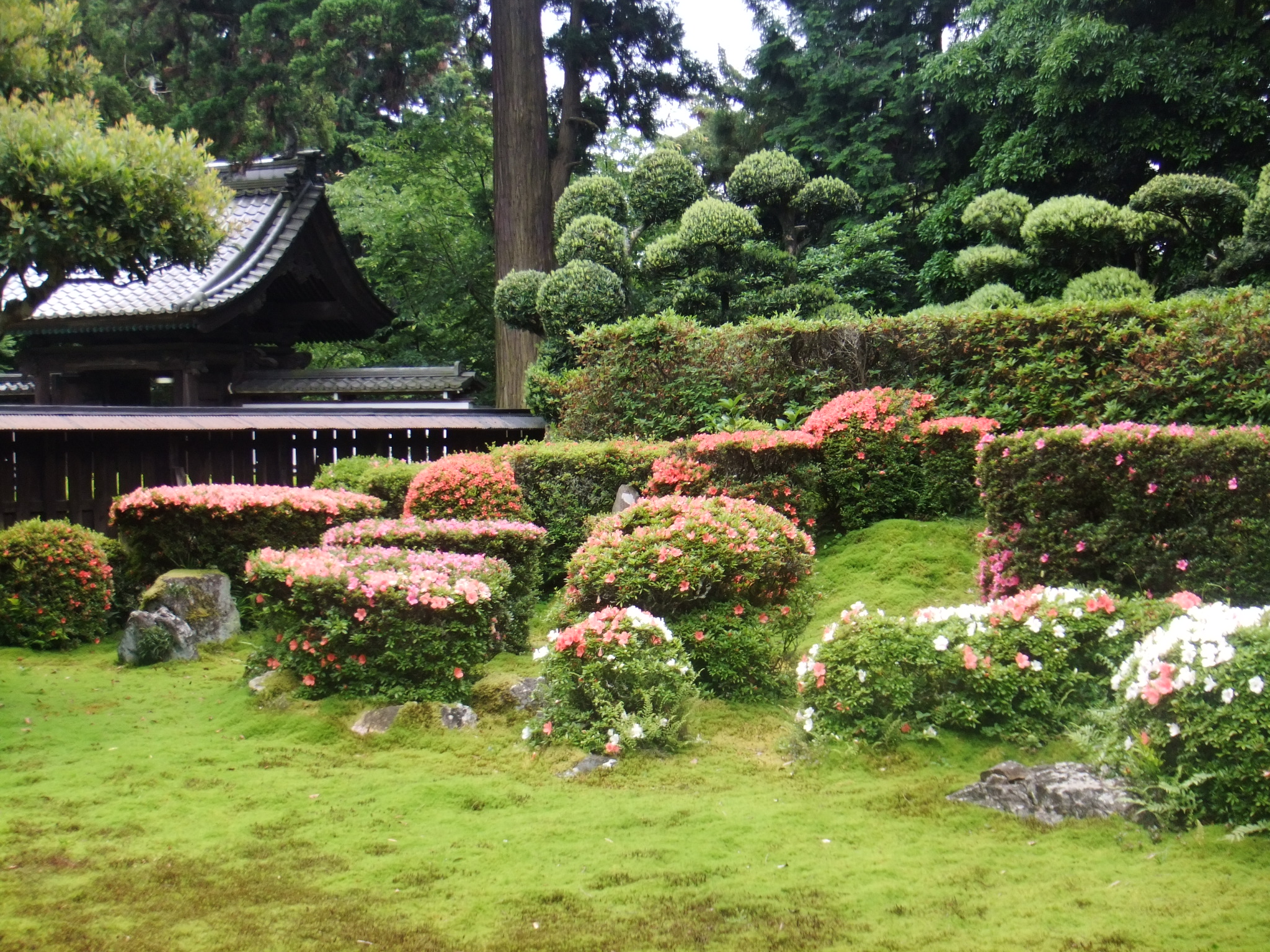 枯山水の庭園、南面